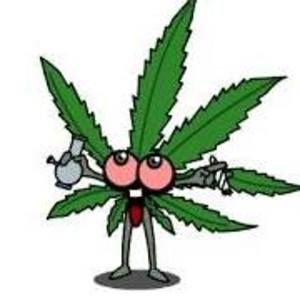 Meet your Posher, Alli